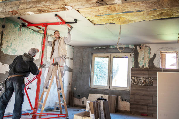 Best Professional Insulation Contractor  in Lake Norman Of Catawba, NC
