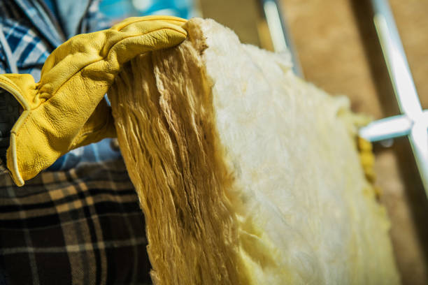 Best Garage Insulation Installation  in Lake Norman Of Catawba, NC