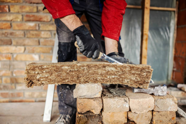 Best Cellulose Insulation  in Lake Norman Of Catawba, NC
