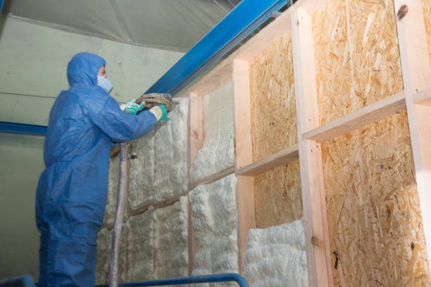 Professional Insulation Contractor in Lake Norman Of Catawba, NC